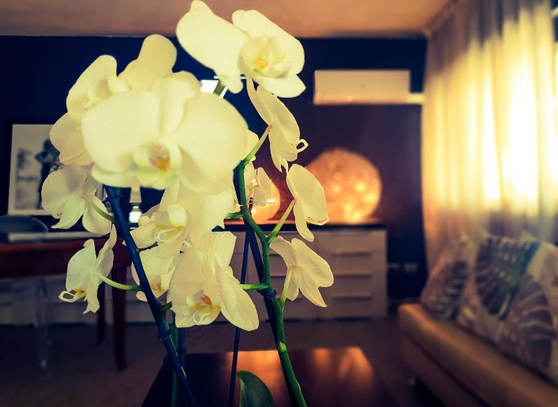 Hotel Caraibi Milano Marittima Kültér fotó
